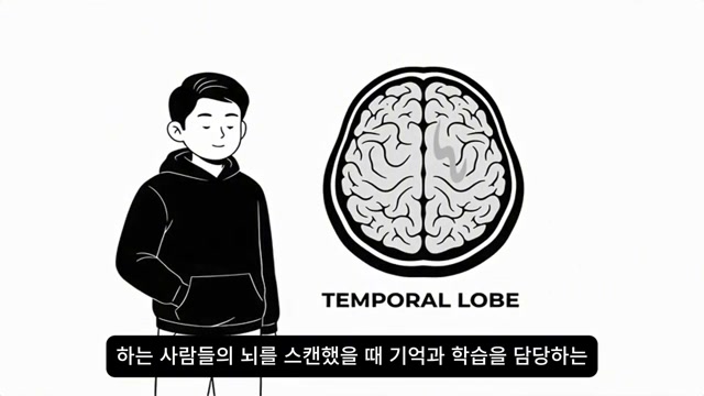 측두엽 라벨이 붙은 뇌 일러스트