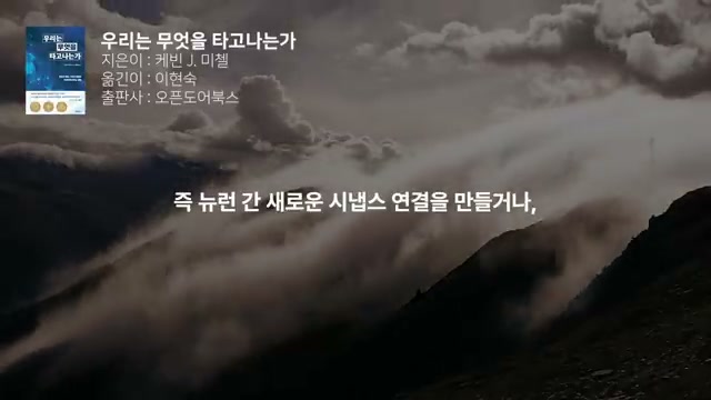 새로운 시냅스 연결
