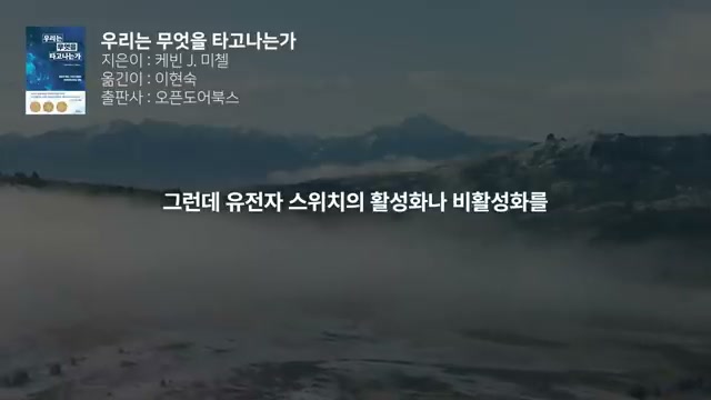 피부 색소와 성격은 다르다