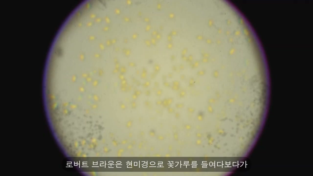 확산방정식