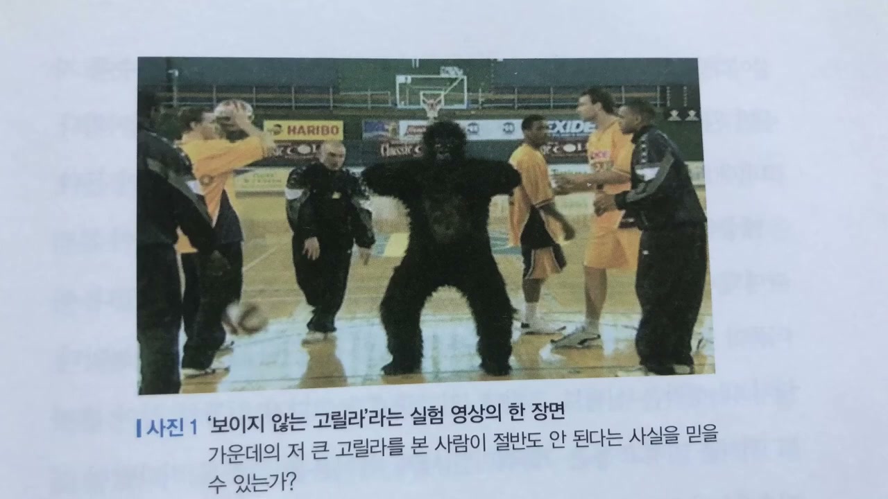 고릴라